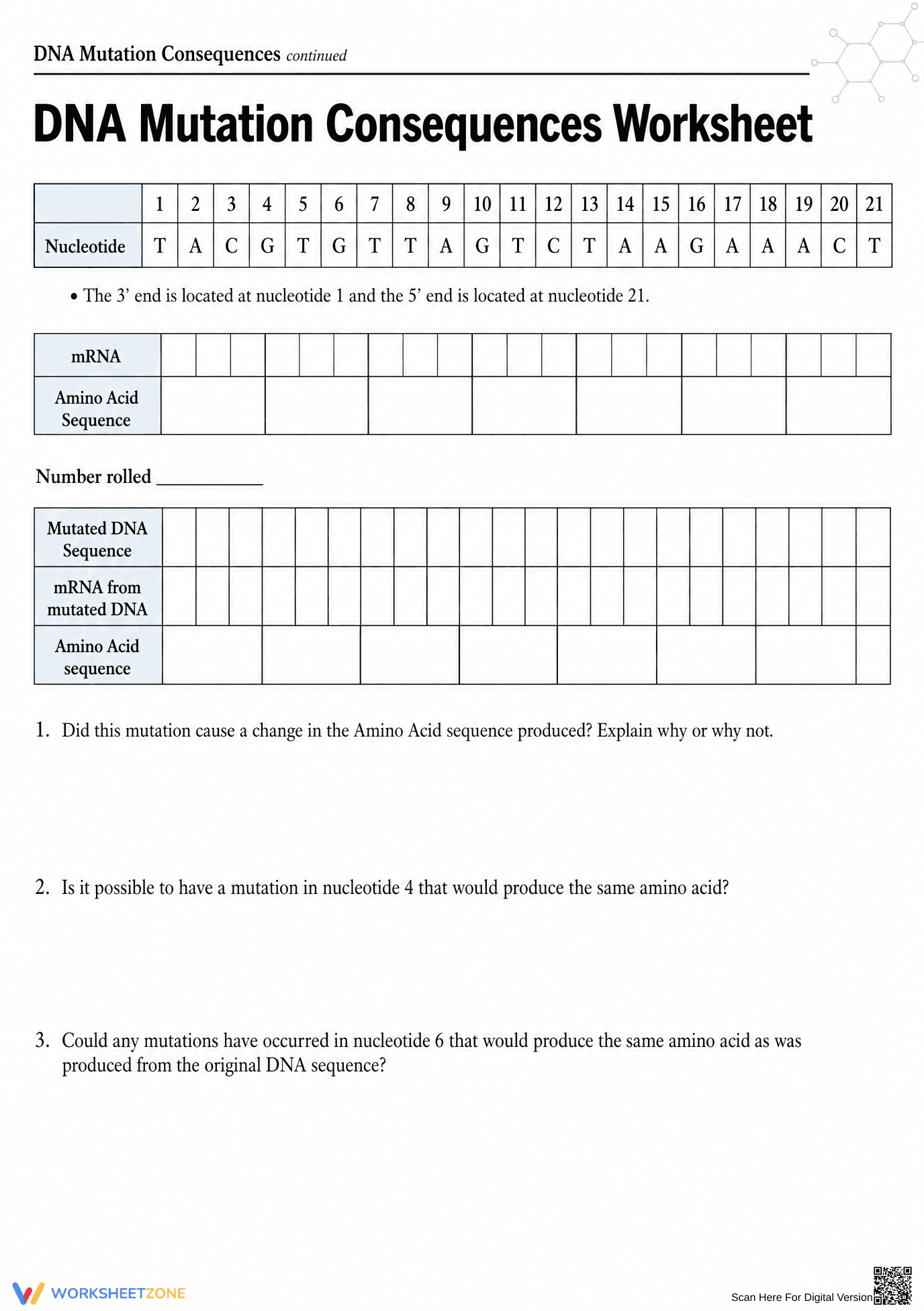 DNA Mutations Worksheet | Grade 9-12 Biology Essential - Page 3