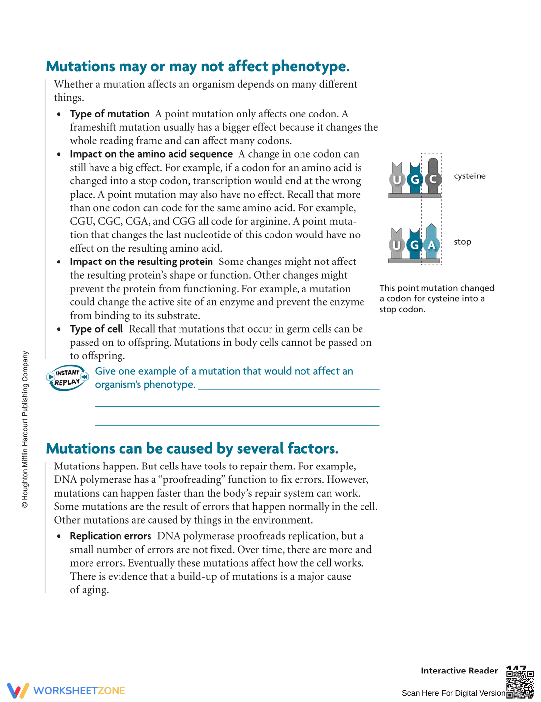 Understanding Mutations Worksheet - Page 2