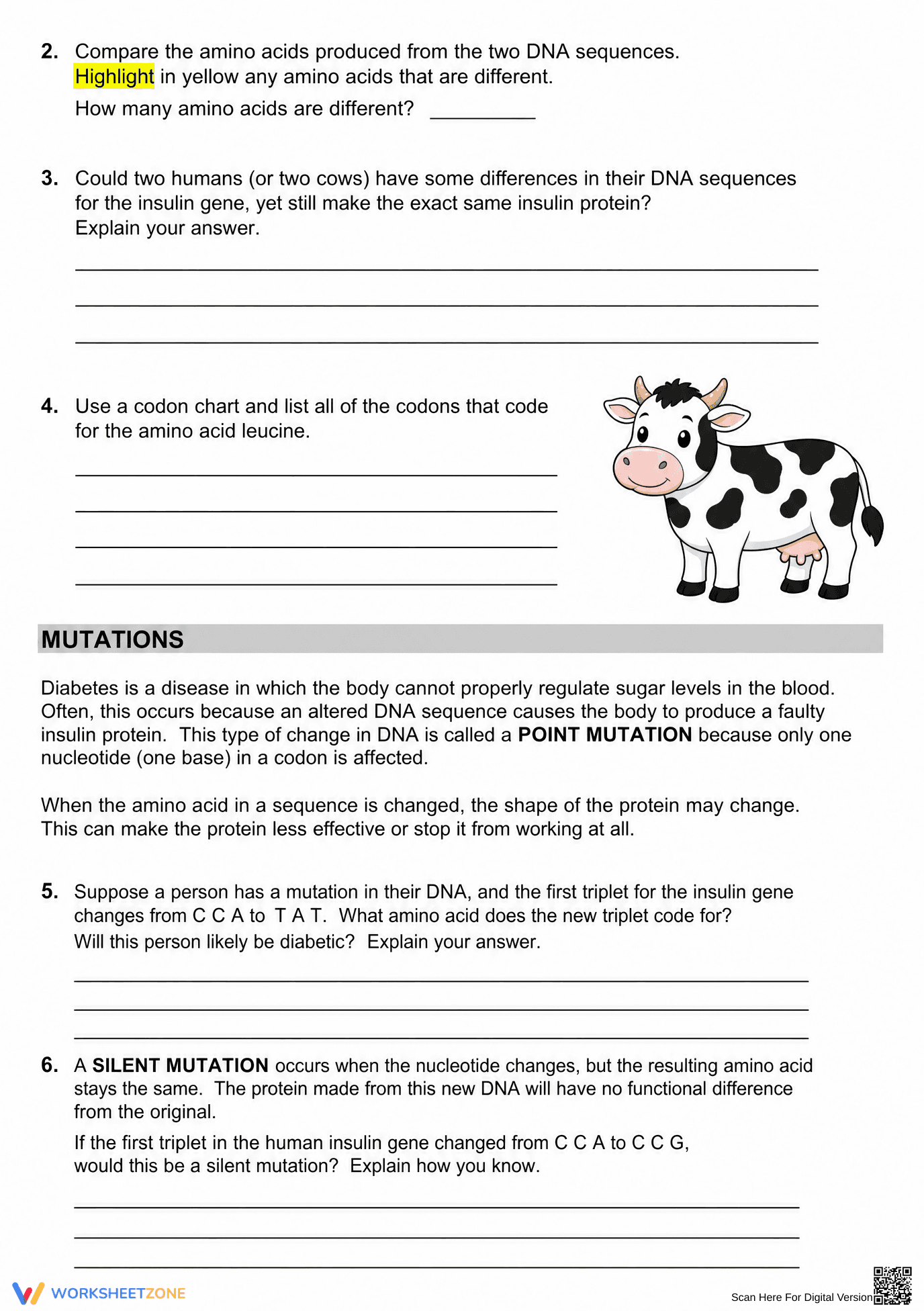 DNA Proteins and Mutations Investigation | Essential Biology - Page 3