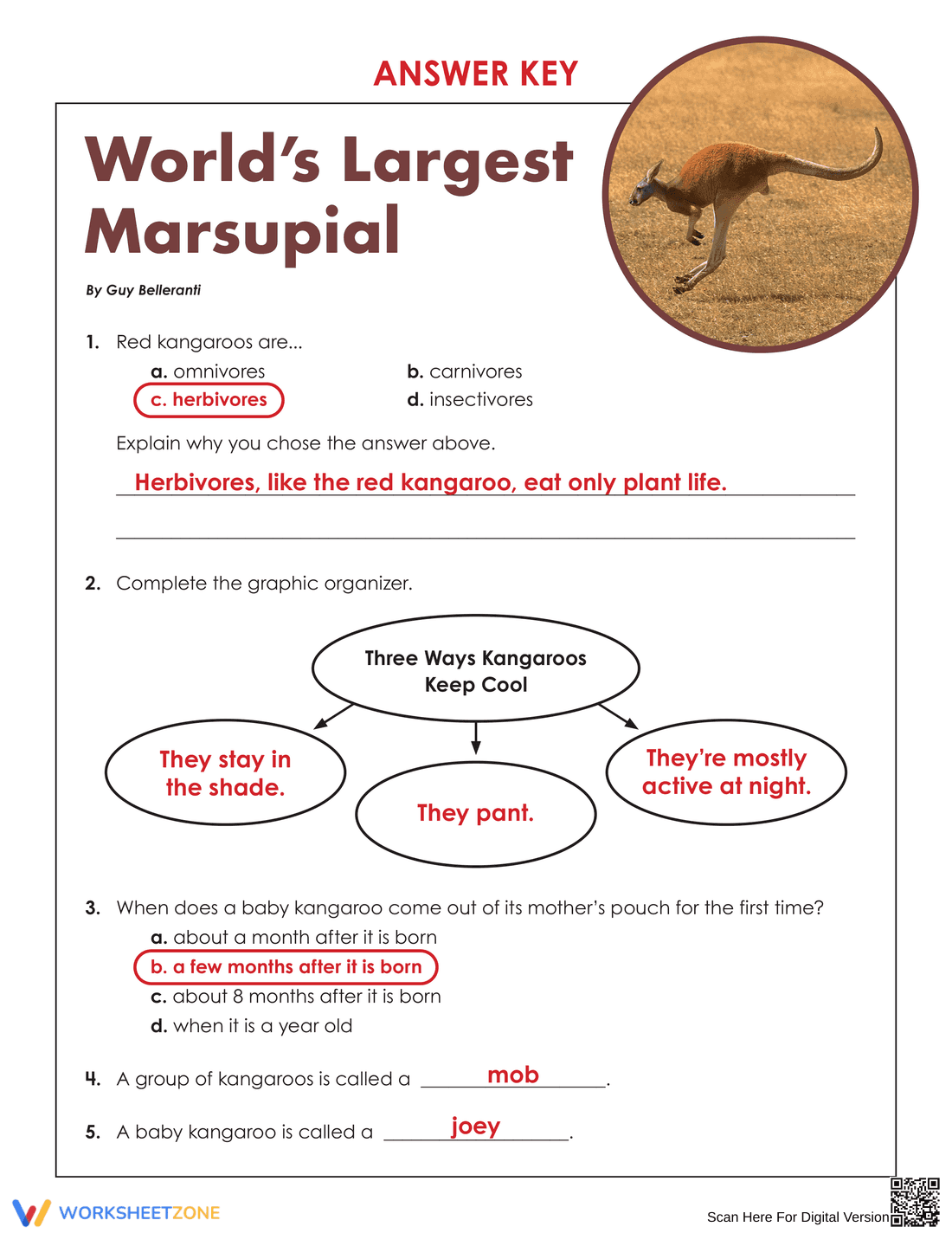 World's Largest Marsupial Worksheet | Grade 7-9 Essential - Page 4