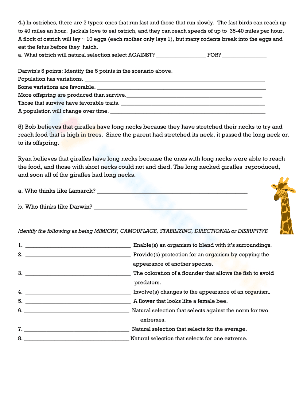 Darwin's Natural Selection Worksheet - Page 2