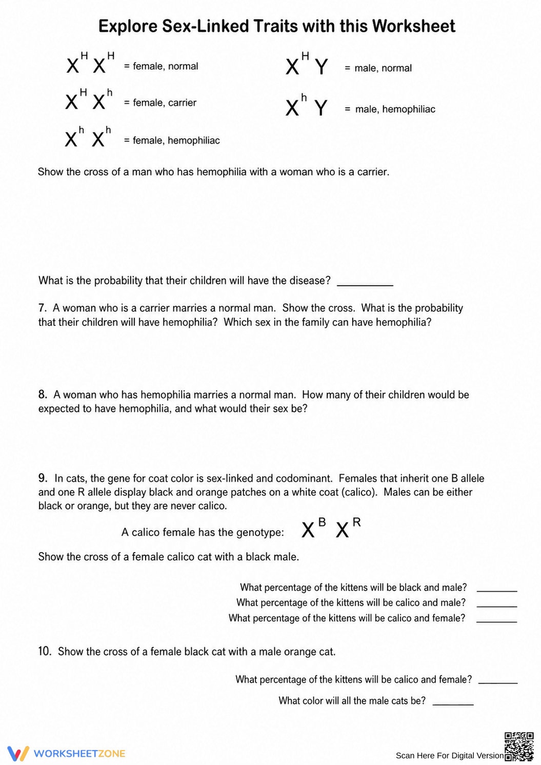 Sex-Linked Traits Worksheet | Grade 9 Biology Printable - Page 2