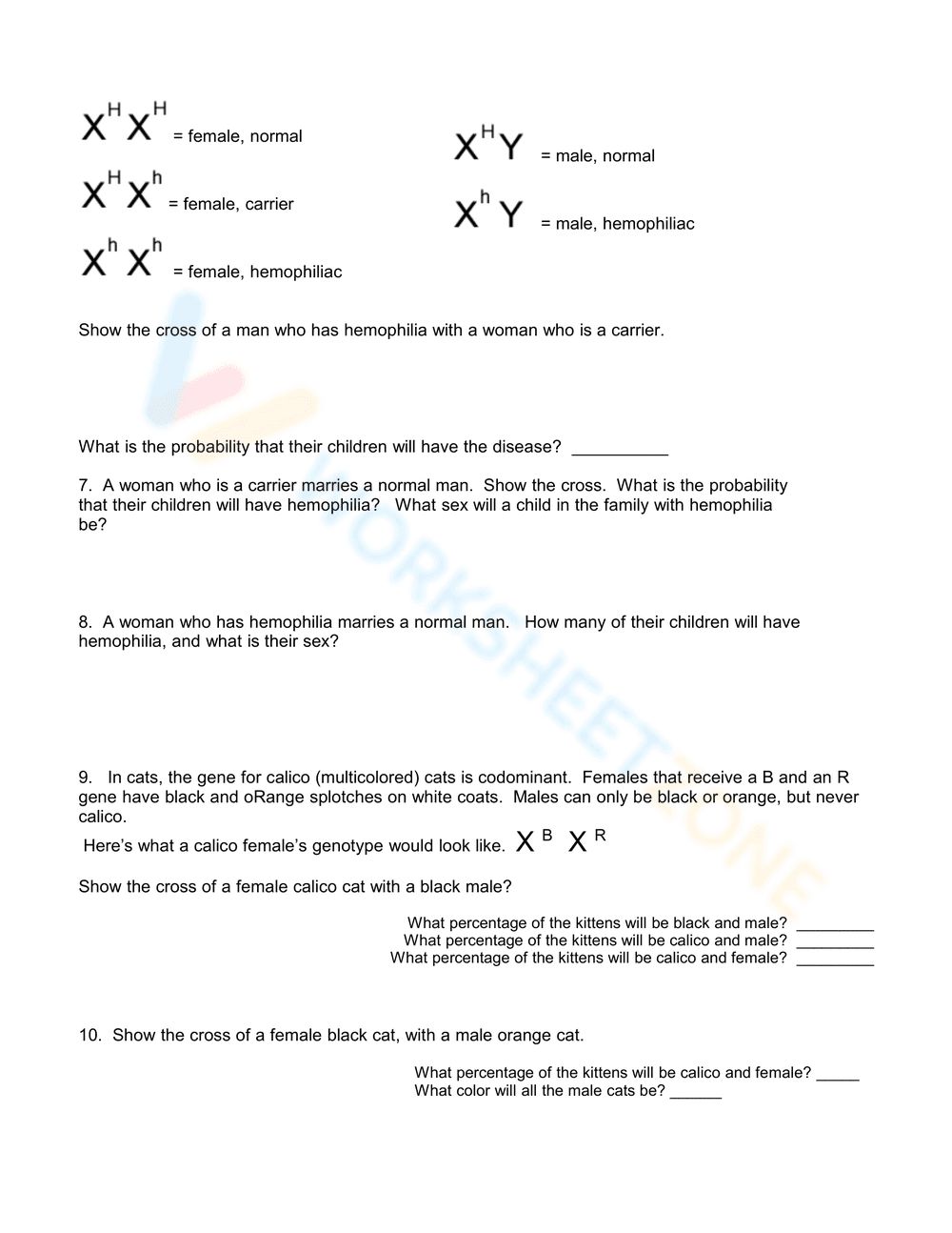 Explore Sex-Linked Traits with this Worksheet - Page 2