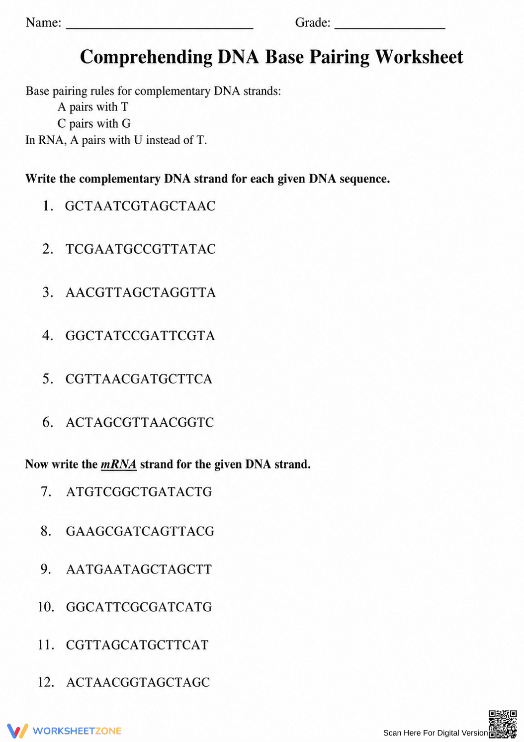 DNA Base Pairing Worksheet (3 Levels) | Grade 9-11 Ready - Page 2