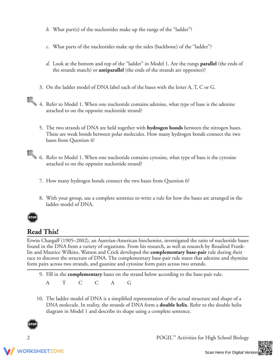 Updated DNA Structure and Replication Worksheet - Page 2
