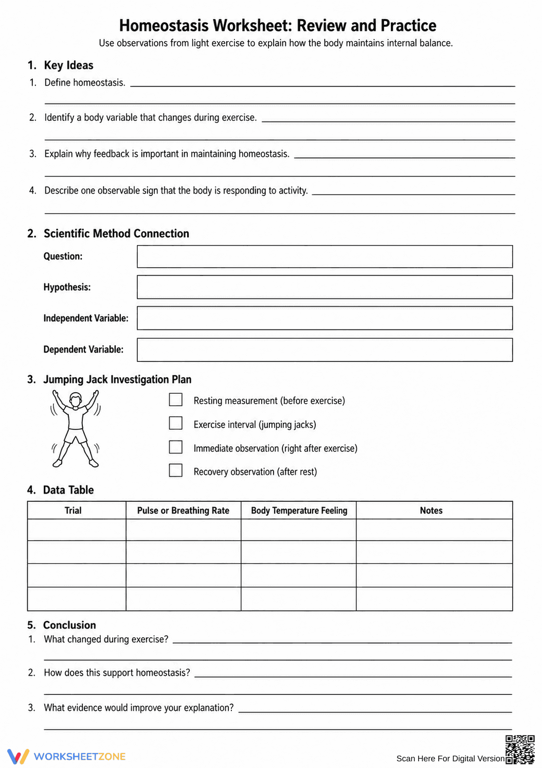 Homeostasis Lab Worksheet: HS-LS1-3 — Grade 9-12 Aligned - Page 7