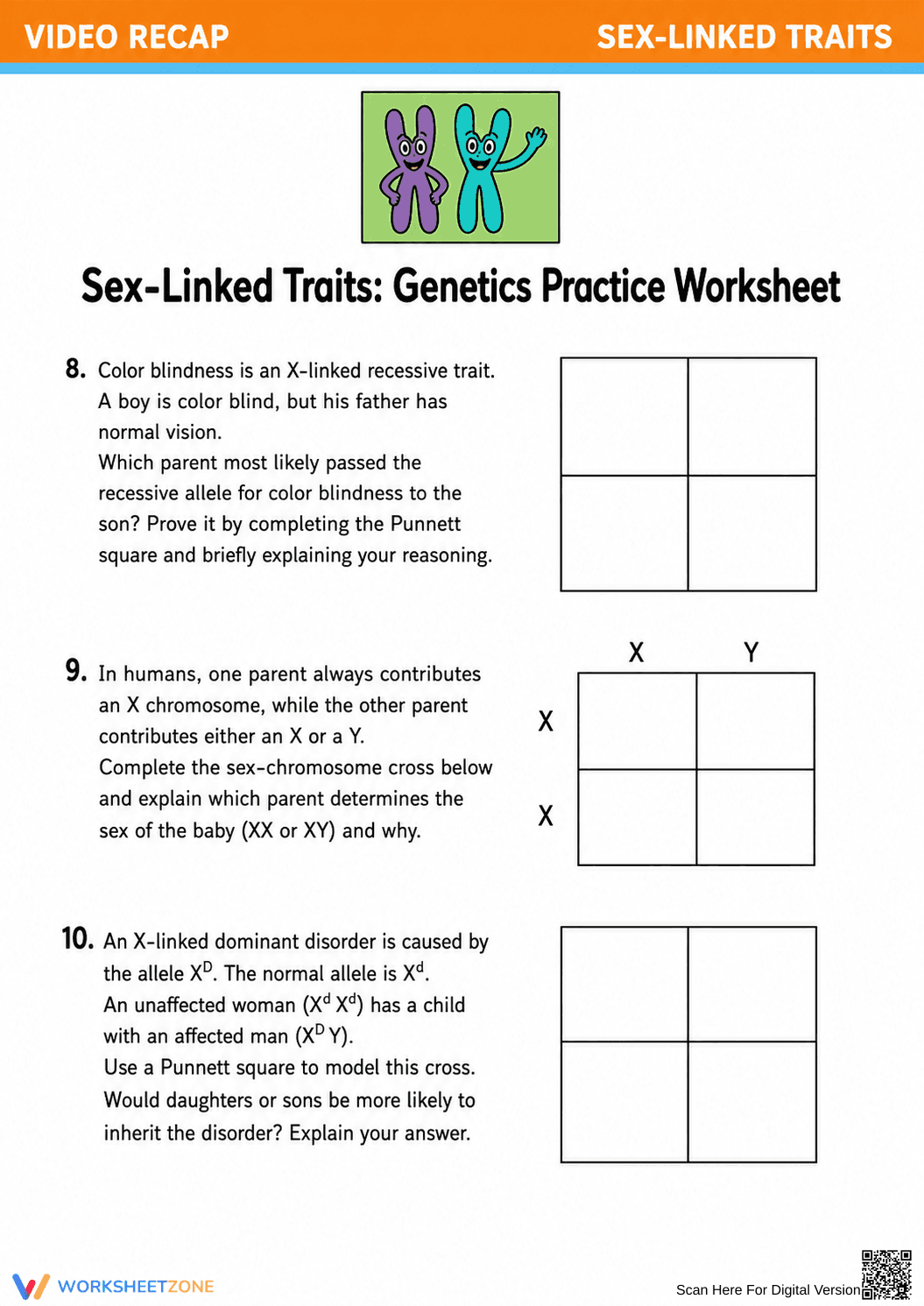 Essential Sex-Linked Traits Worksheet | Grade 9-12 Biology - Page 2