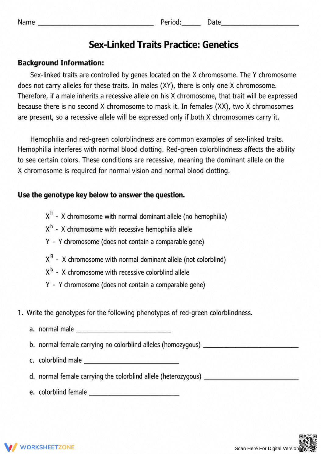 Sex-Linked Traits Virtual Lab | Essential Biology Worksheet - Page 3