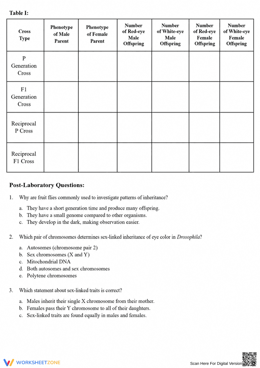 Sex-Linked Traits Virtual Lab | Essential Biology Worksheet - Page 4