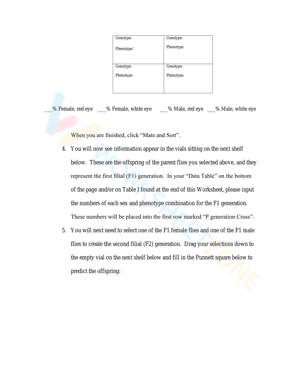 Sex-Linked Traits Virtual Lab Worksheet - Page 2