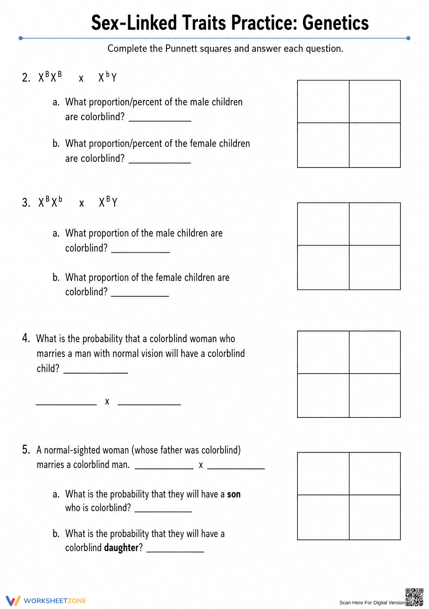 Sex-Linked Traits Practice Worksheet | Essential Biology - Page 2