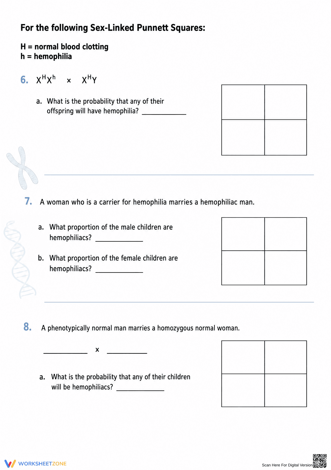 Sex-Linked Traits Practice Worksheet | Essential Biology - Page 3