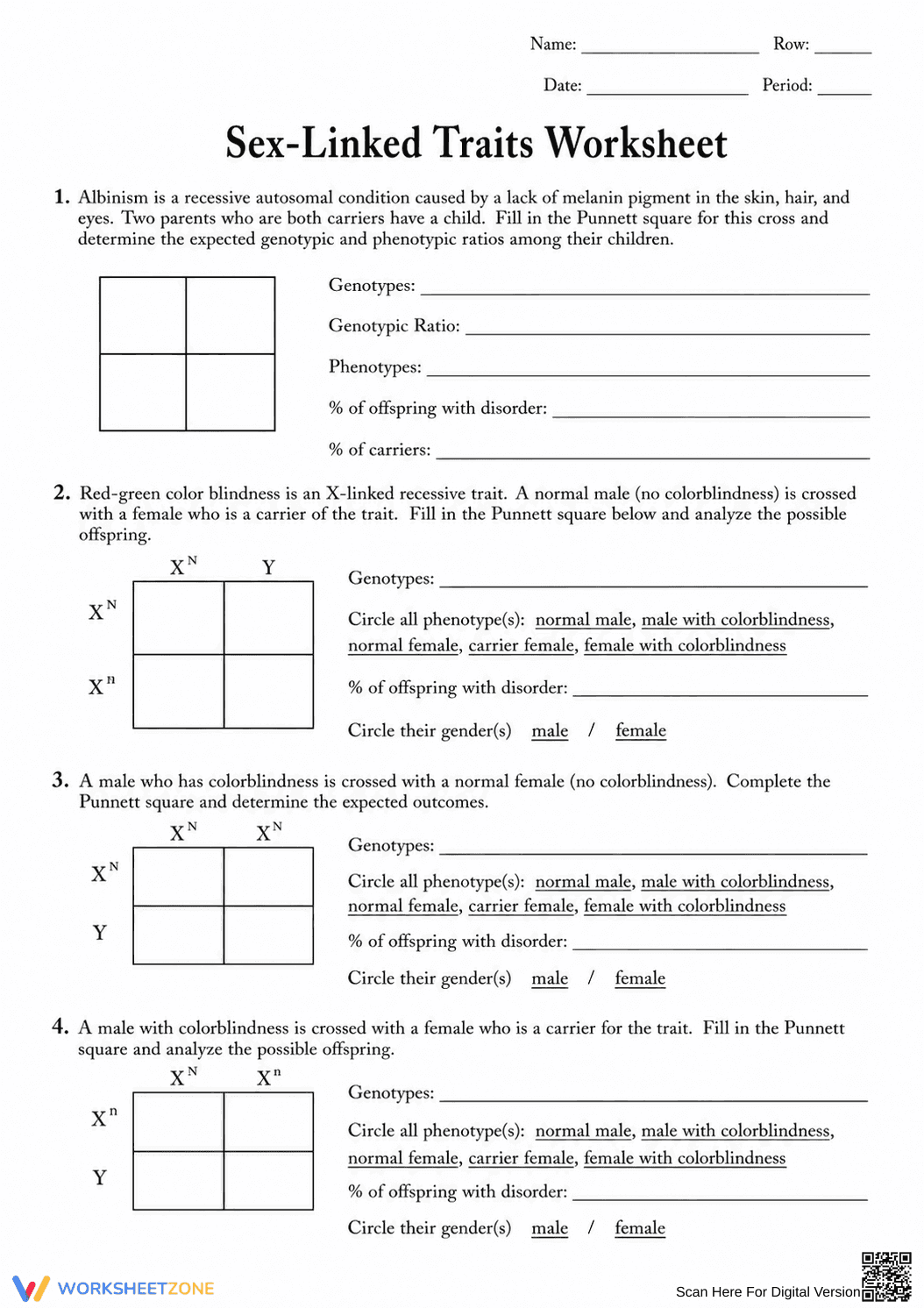 HS-LS3-3 Worksheet: Sex-Linked Traits — Essential Biology - Page 2