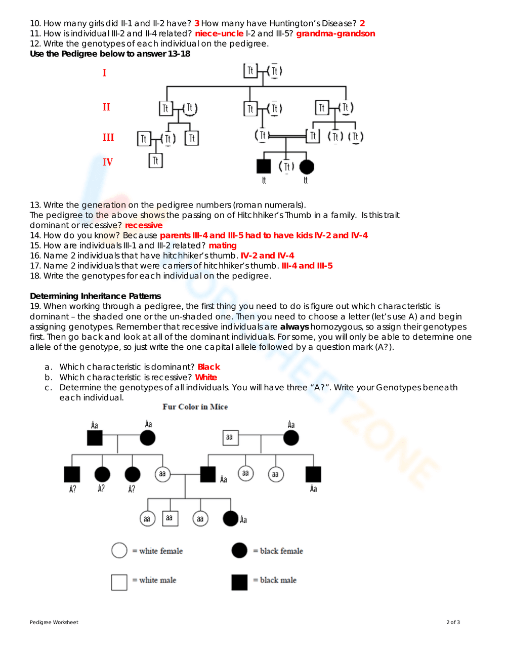 Updated Pedigree Analysis: Genetics Worksheet - Page 2