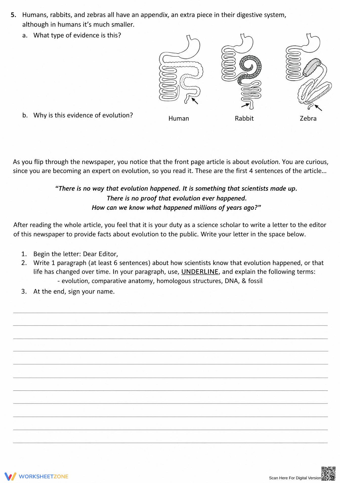 Evidence for Evolution Worksheet | Essential Grade 9-12 - Page 2