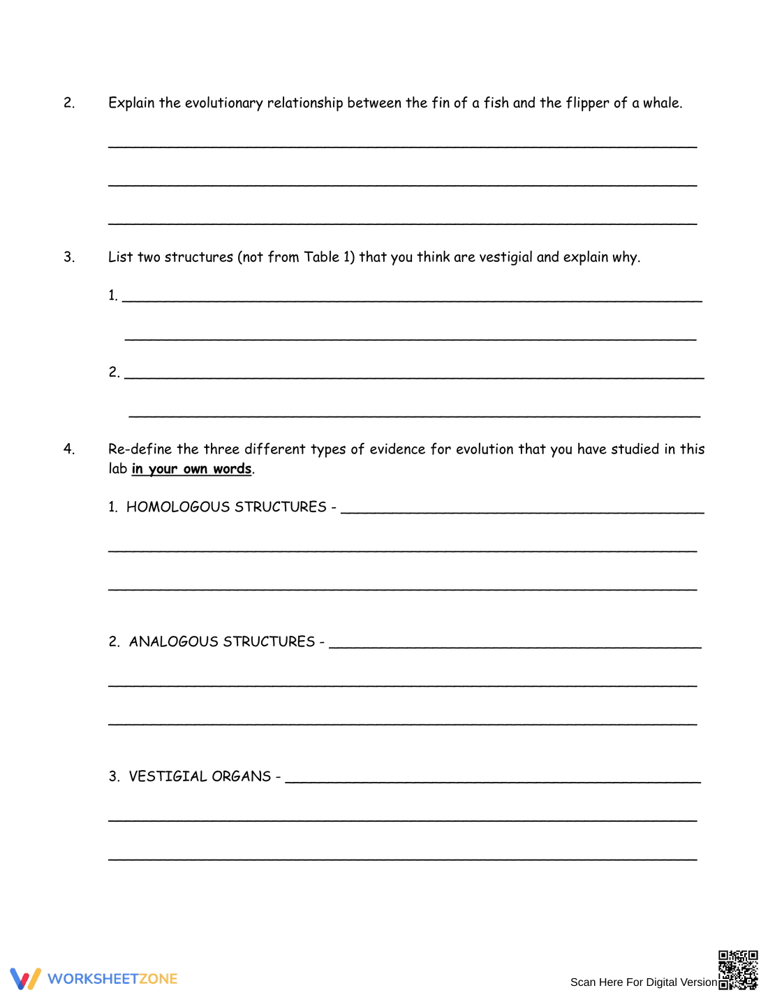 Activity on Evidence of Evolution - Page 5