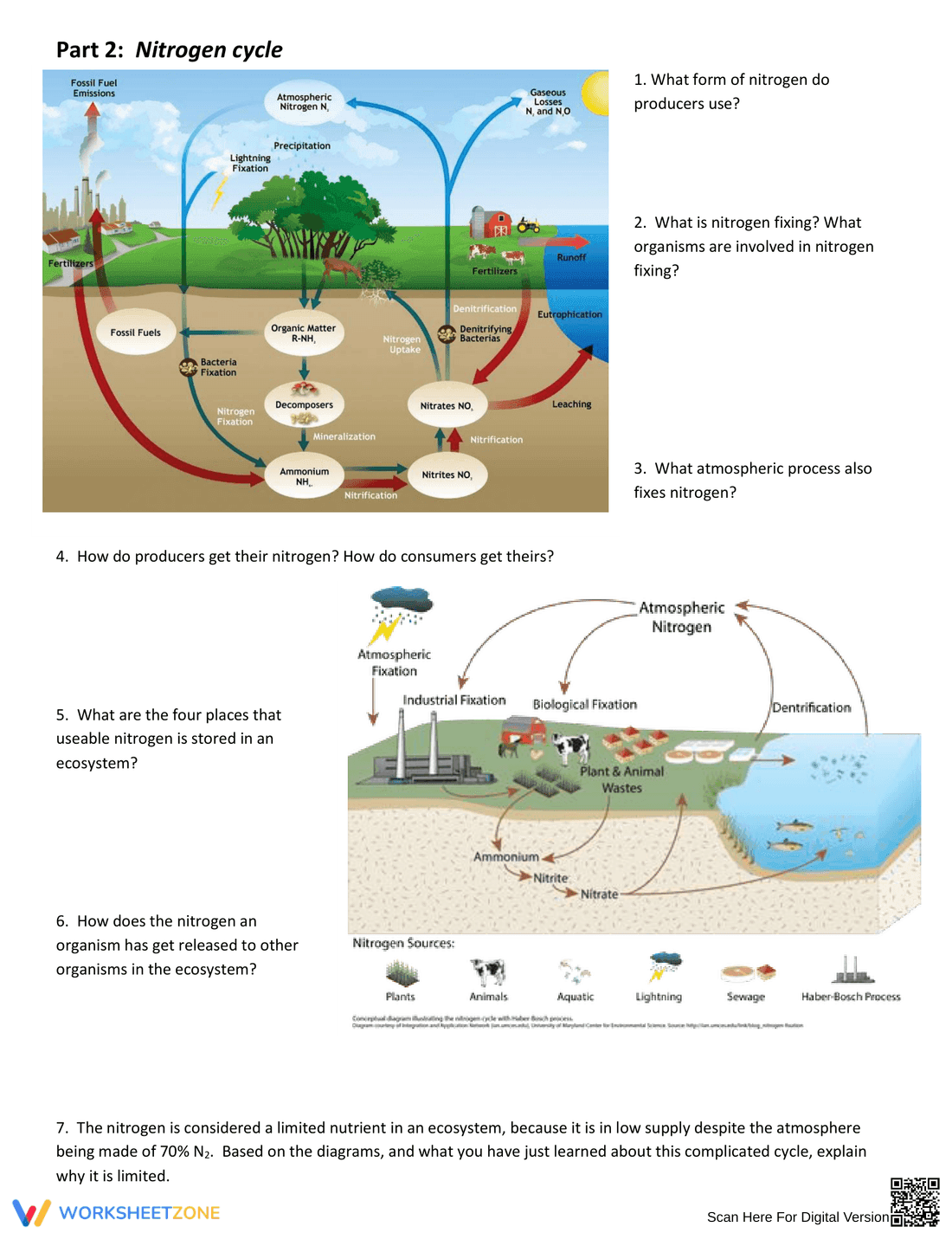 Interpreting Nutrient Cycles: An Engaging Worksheet - Page 2