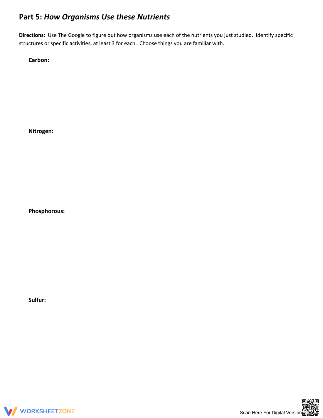 Interpreting Nutrient Cycles: An Engaging Worksheet - Page 5