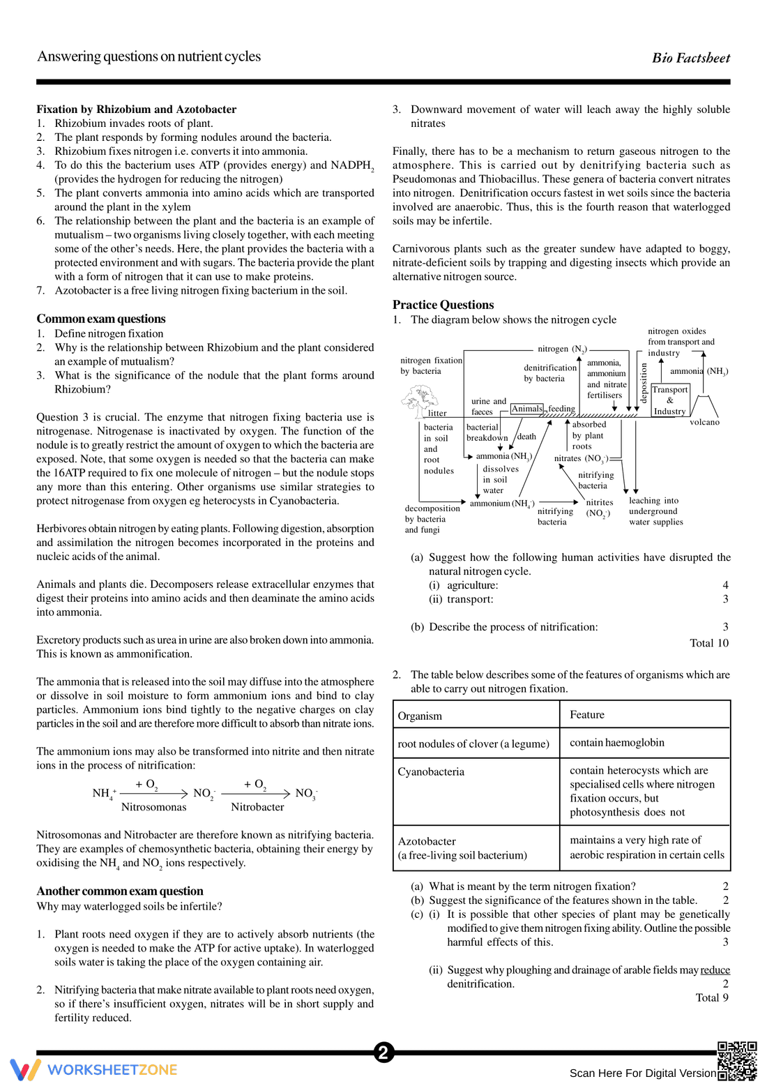 Answering Questions on Nutrient Cycles: Worksheet for Ecology - Page 2