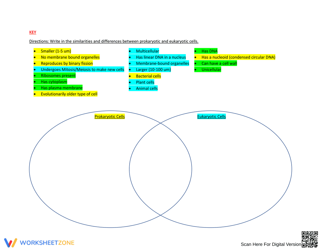 Prokaryotic vs Eukaryotic Cells Worksheet - Page 2