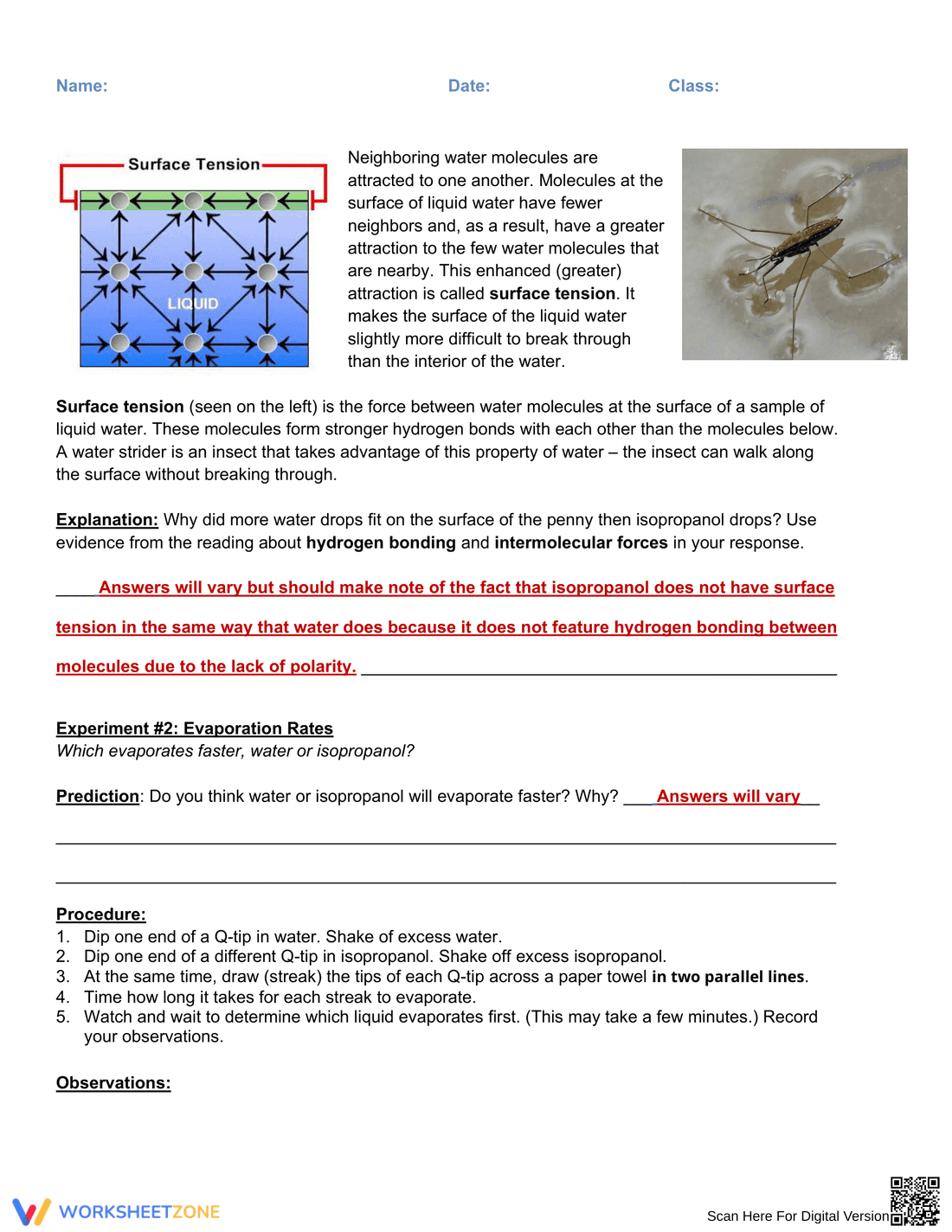Lab on Intermolecular Forces Worksheet - Page 3