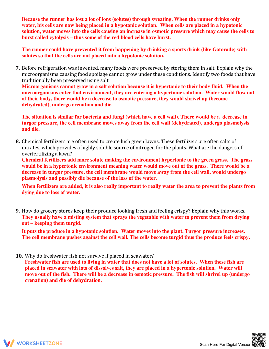 Worksheet to Understand Osmosis - Page 2
