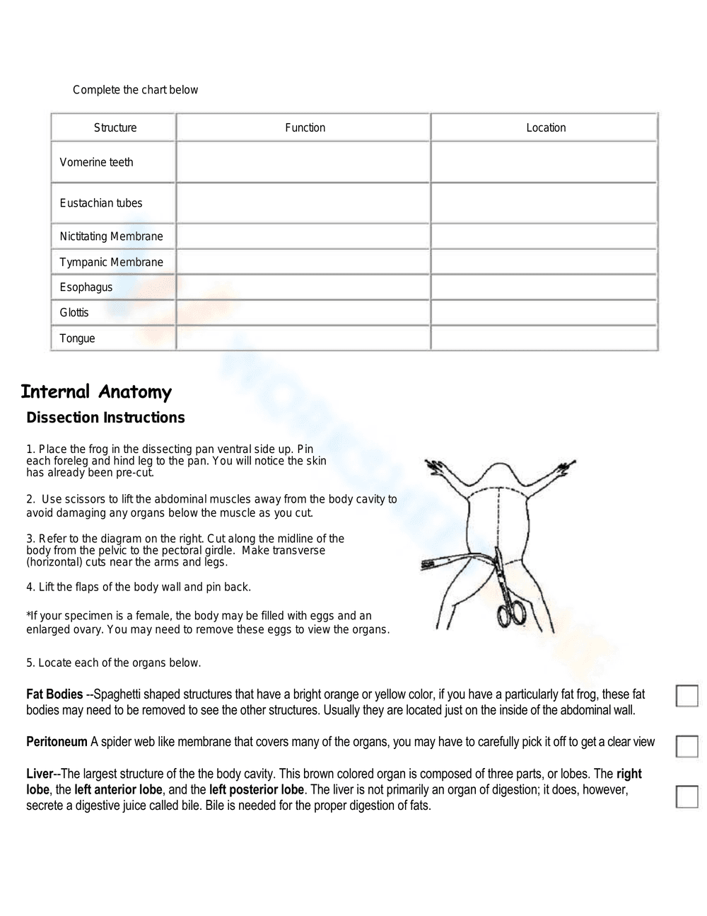Detailed Frog Dissection Lab Worksheet - Page 2