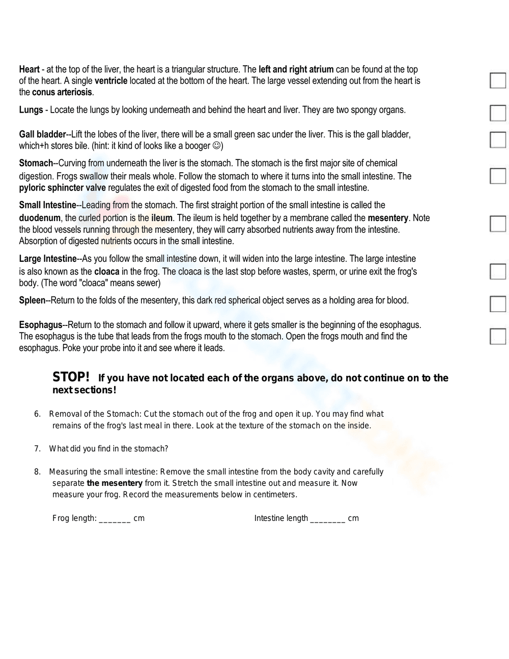 Detailed Frog Dissection Lab Worksheet - Page 3