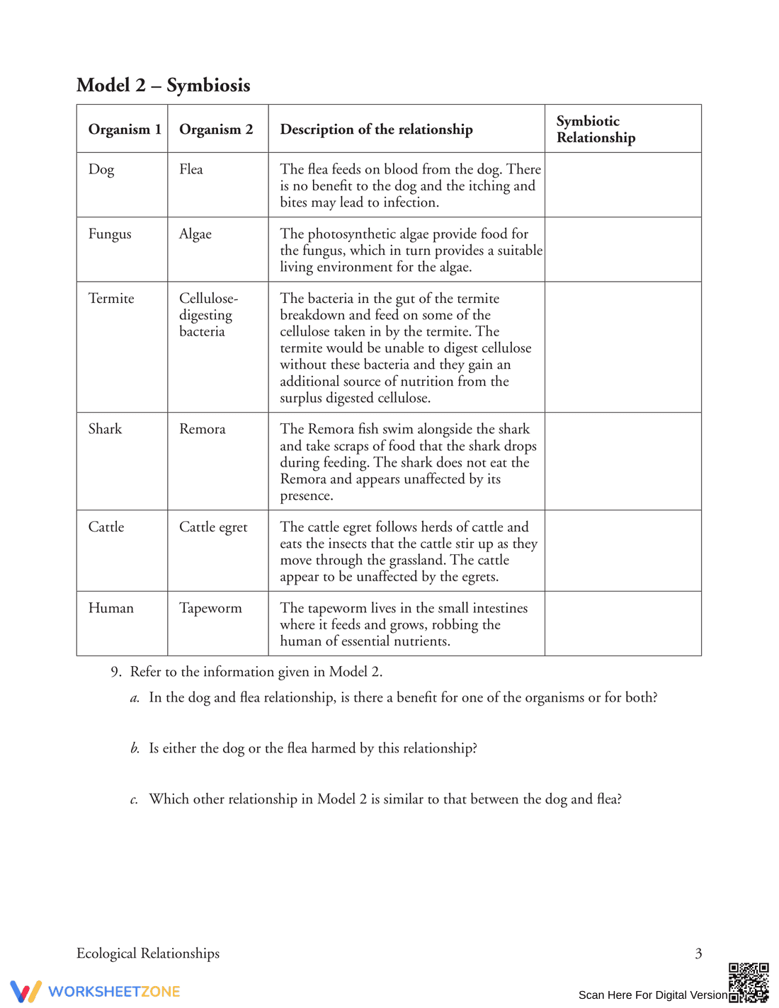 Ecological Relationships: Updated Worksheet - Page 3