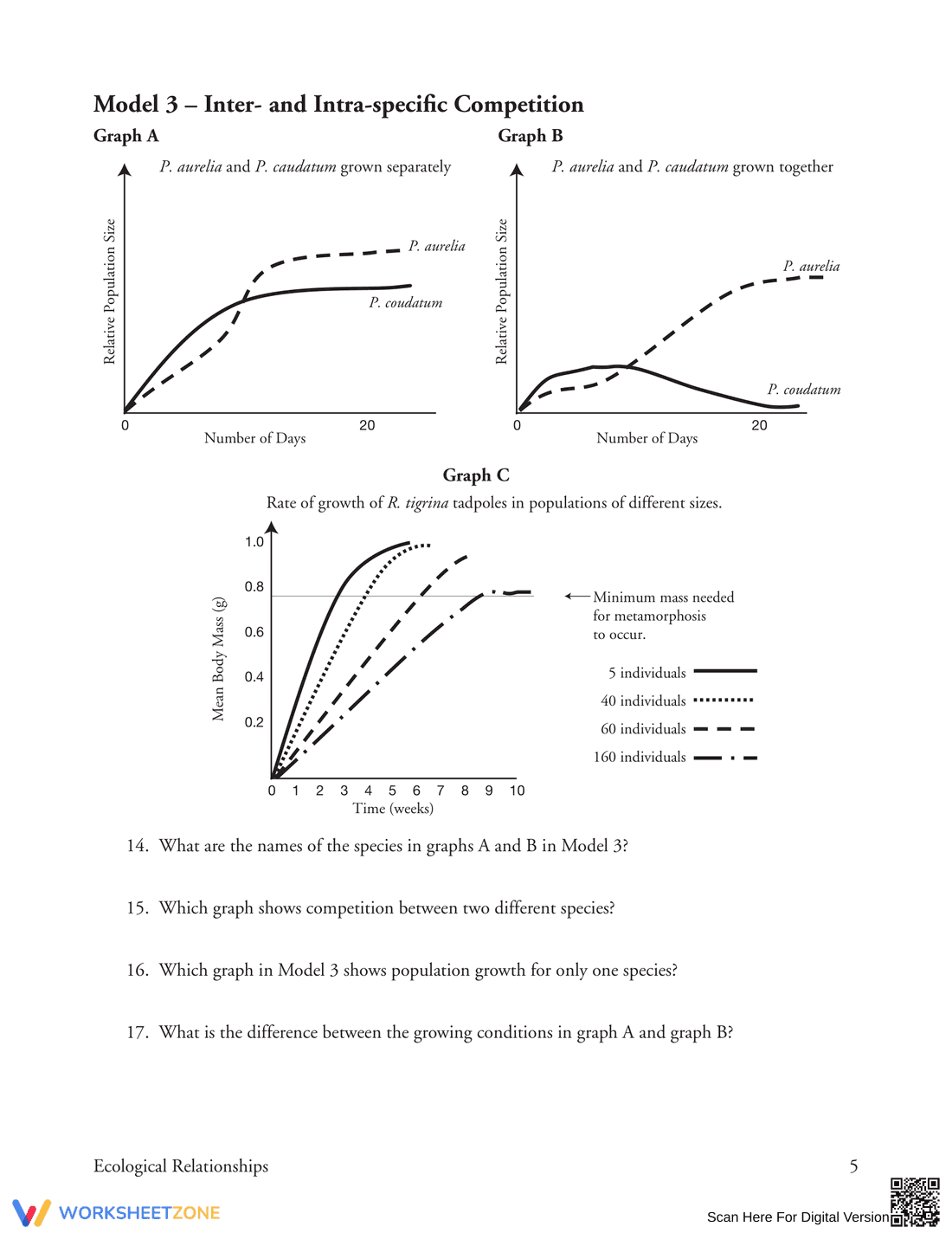 Ecological Relationships: Updated Worksheet - Page 5