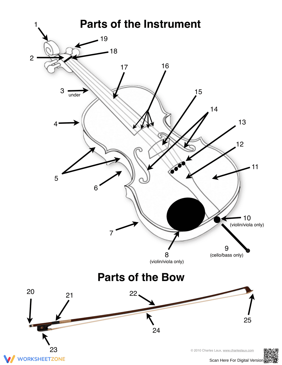 Identify Musical Instrument Parts - Page 3