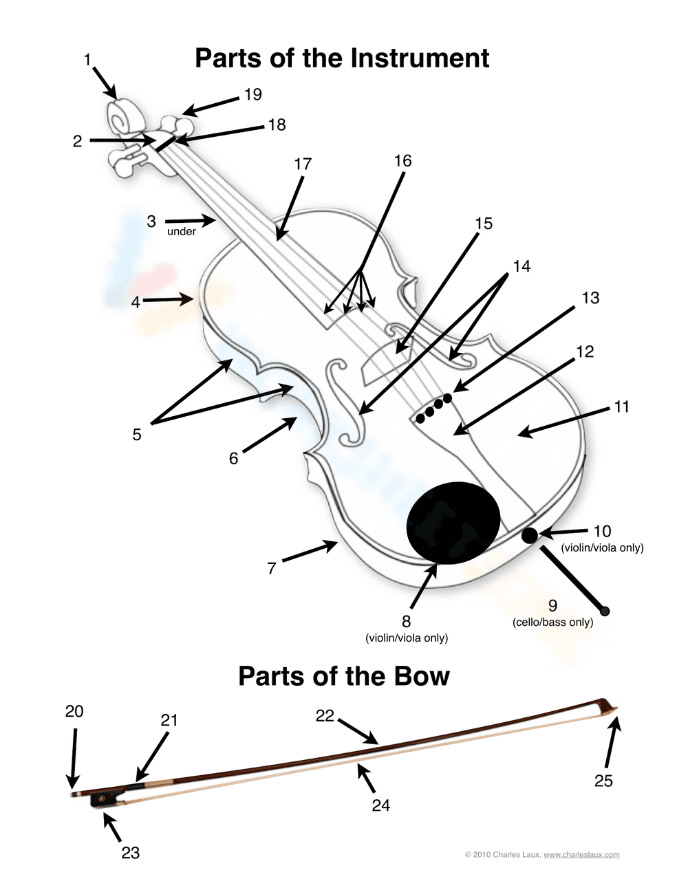 Identify Musical Instrument Parts - Page 2
