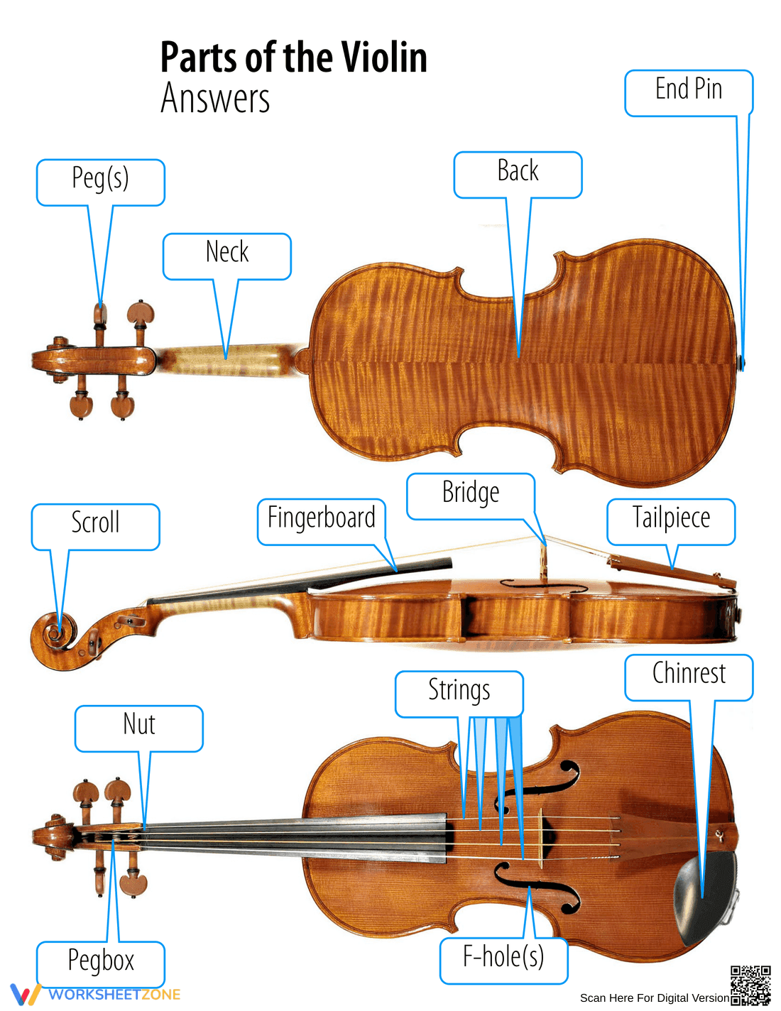Violin Parts Identification Worksheet - Page 2