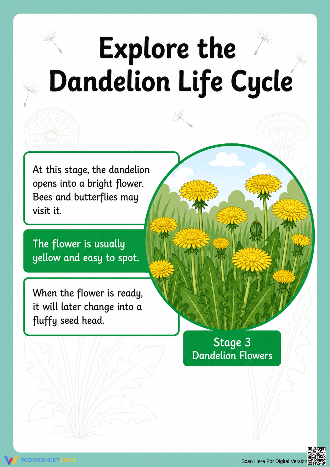 Dandelion Life Cycle Printable Worksheet | Grade 3 - Page 5