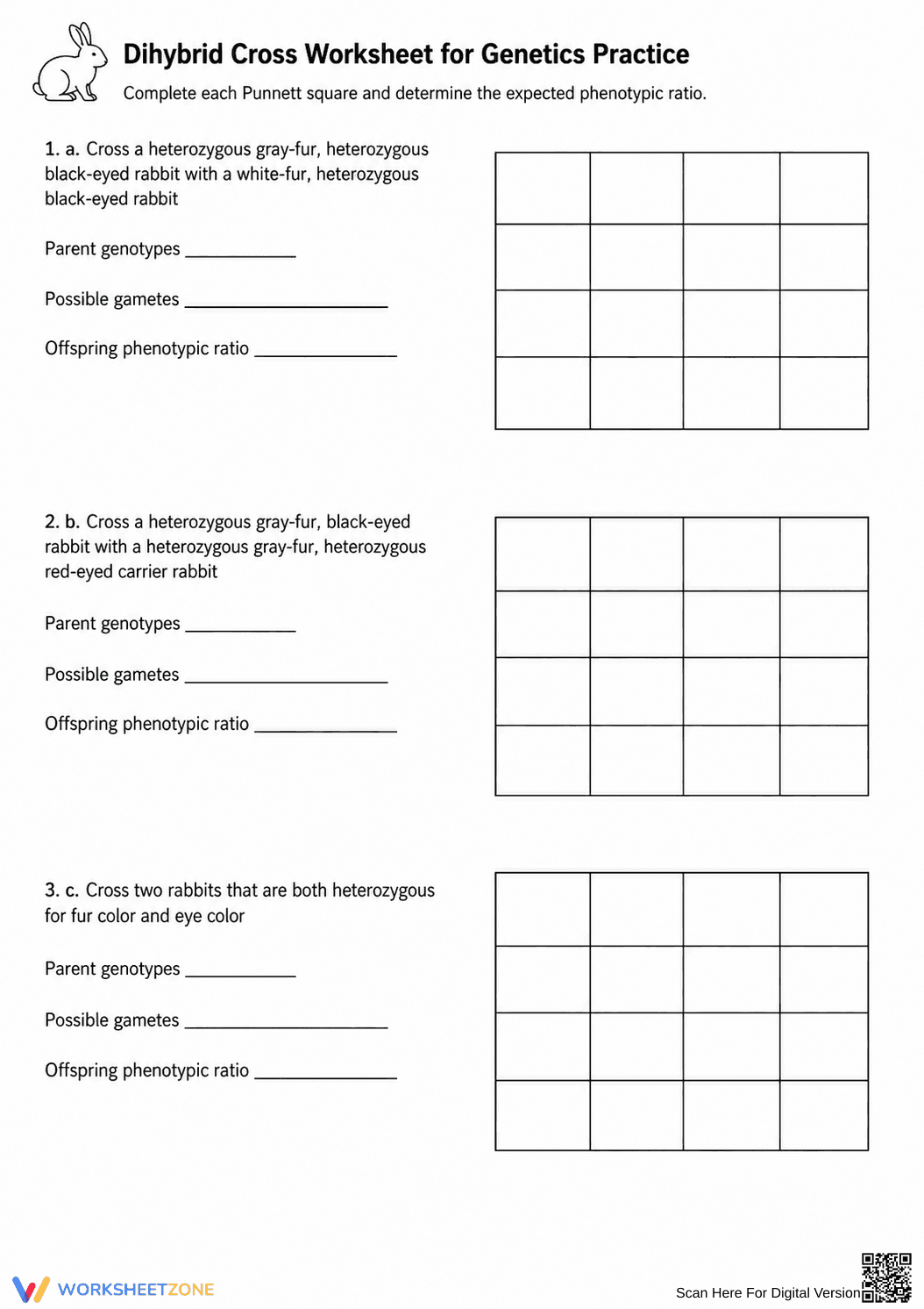 Essential Dihybrid Cross Worksheet | Grades 9-12 Biology - Page 2