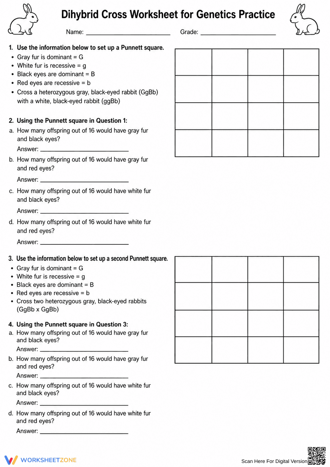 Essential Dihybrid Cross Worksheet | Grades 9-12 Biology - Page 6