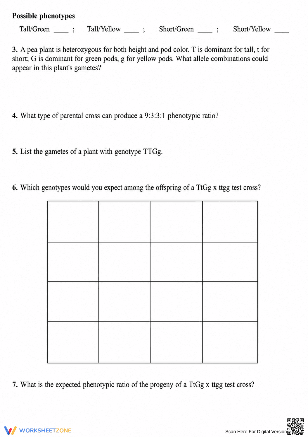 Essential Dihybrid Crosses Worksheet | Grade 9-12 Biology - Page 2