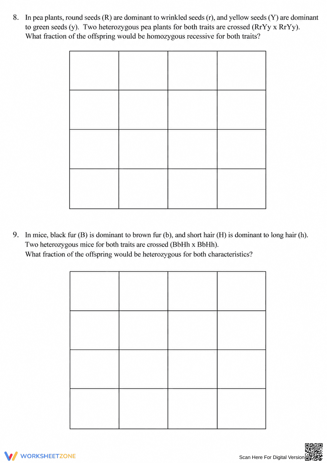 Essential Dihybrid Crosses Worksheet | Grade 9-12 Biology - Page 3
