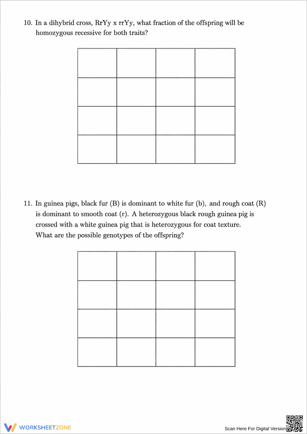 Essential Dihybrid Crosses Worksheet | Grade 9-12 Biology - Page 4