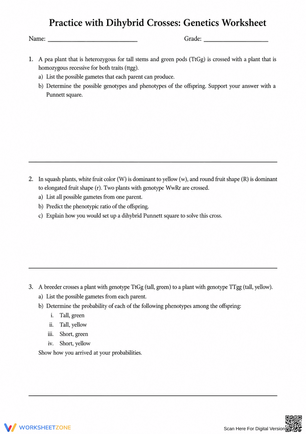 Essential Dihybrid Crosses Worksheet | Grade 9-12 Biology - Page 8
