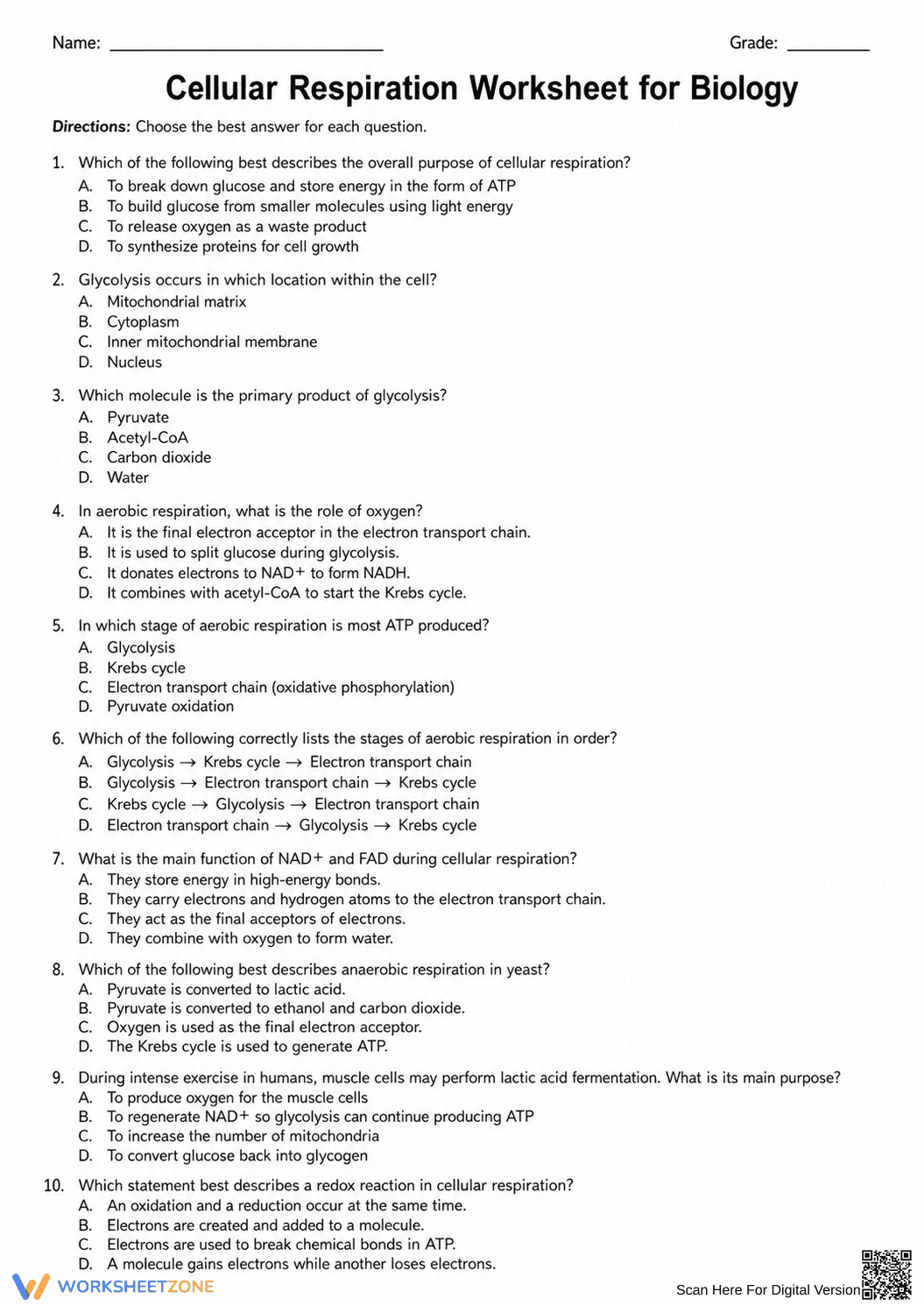 HS Cellular Respiration — Printable No-Prep Worksheet - Page 2