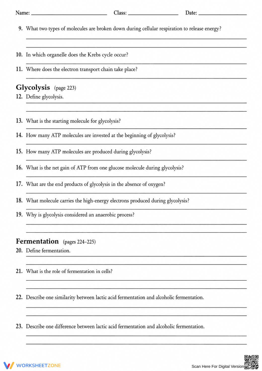 Essential HS-LS1-7 Cellular Respiration Worksheet - Page 2