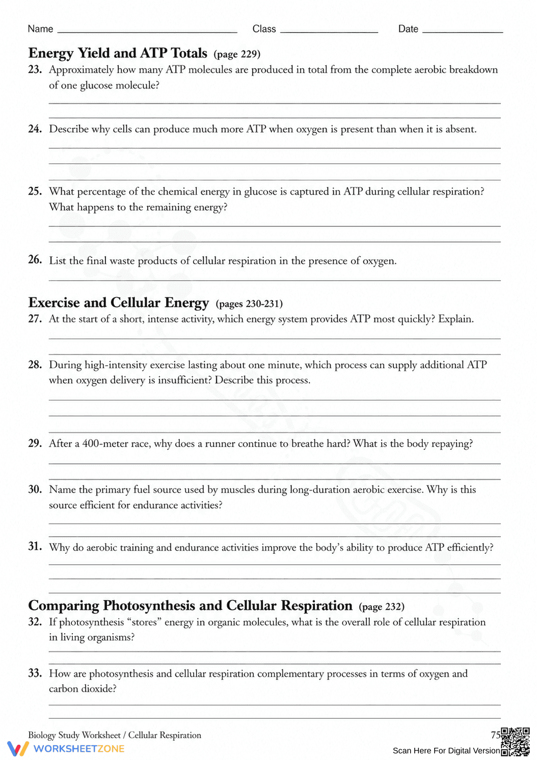 Essential HS-LS1-7 Cellular Respiration Worksheet - Page 6