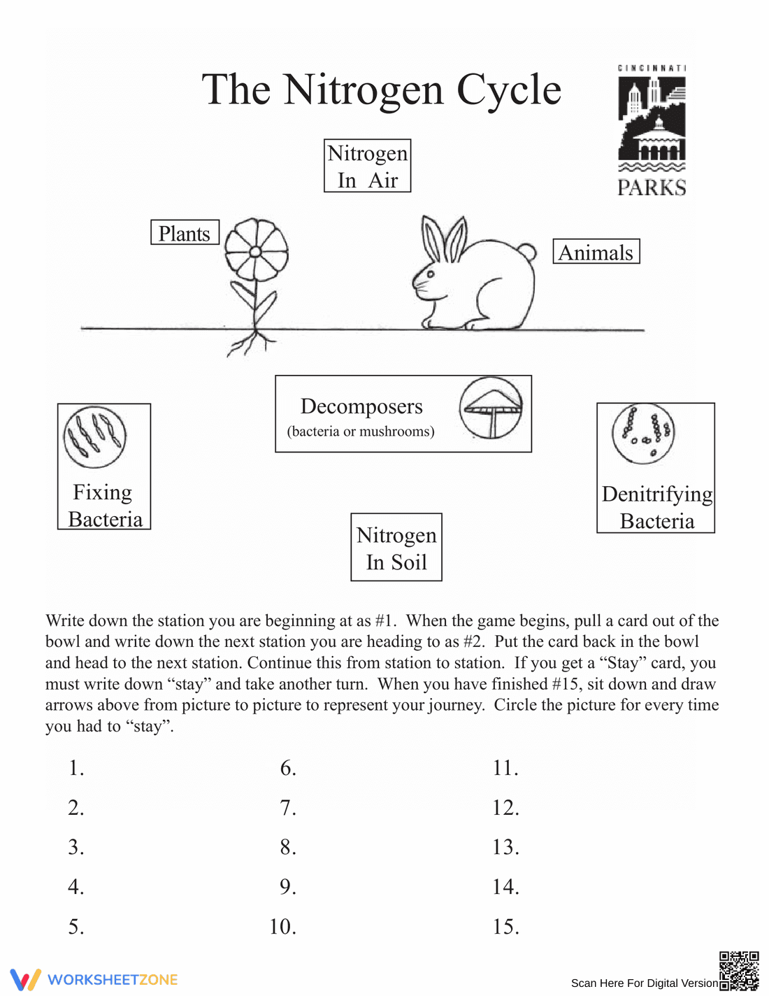 Nitrogen Cycle Game Instructions - Page 4