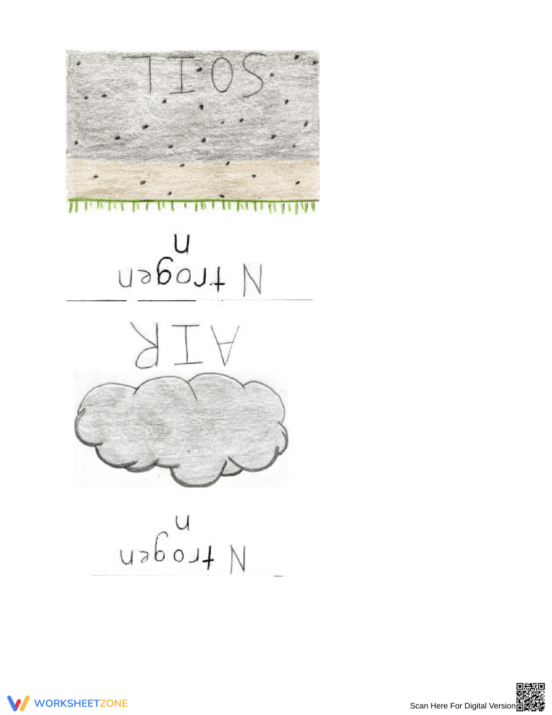 Nitrogen Cycle Game Instructions - Page 7