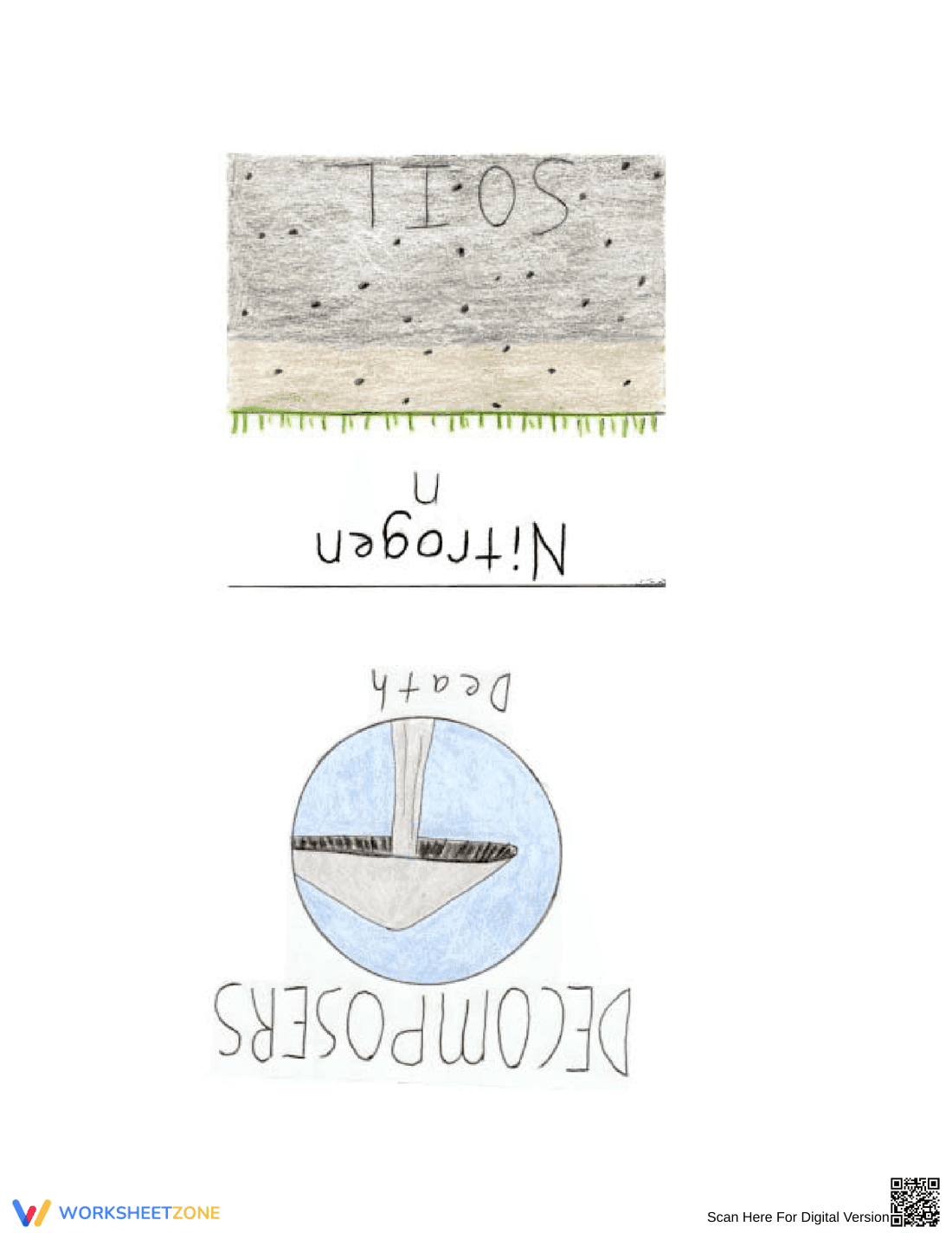 Nitrogen Cycle Game Instructions - Page 8