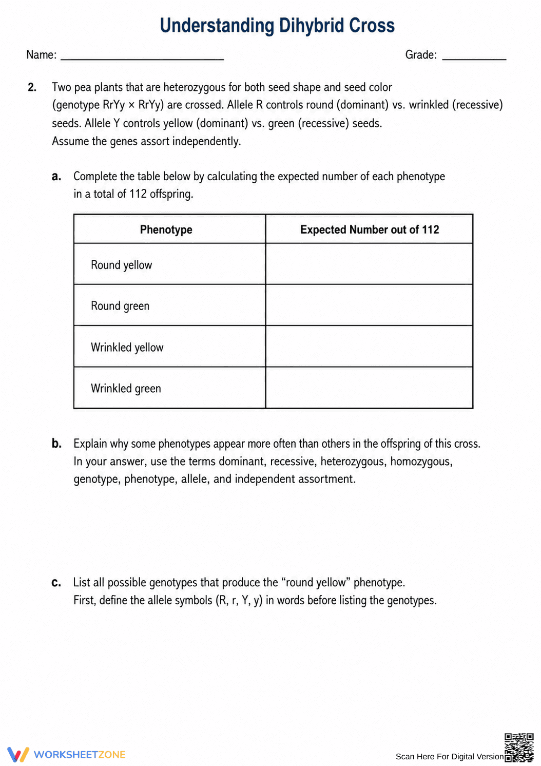 Essential Dihybrid Cross Worksheet | Grades 9-12 Biology - Page 2