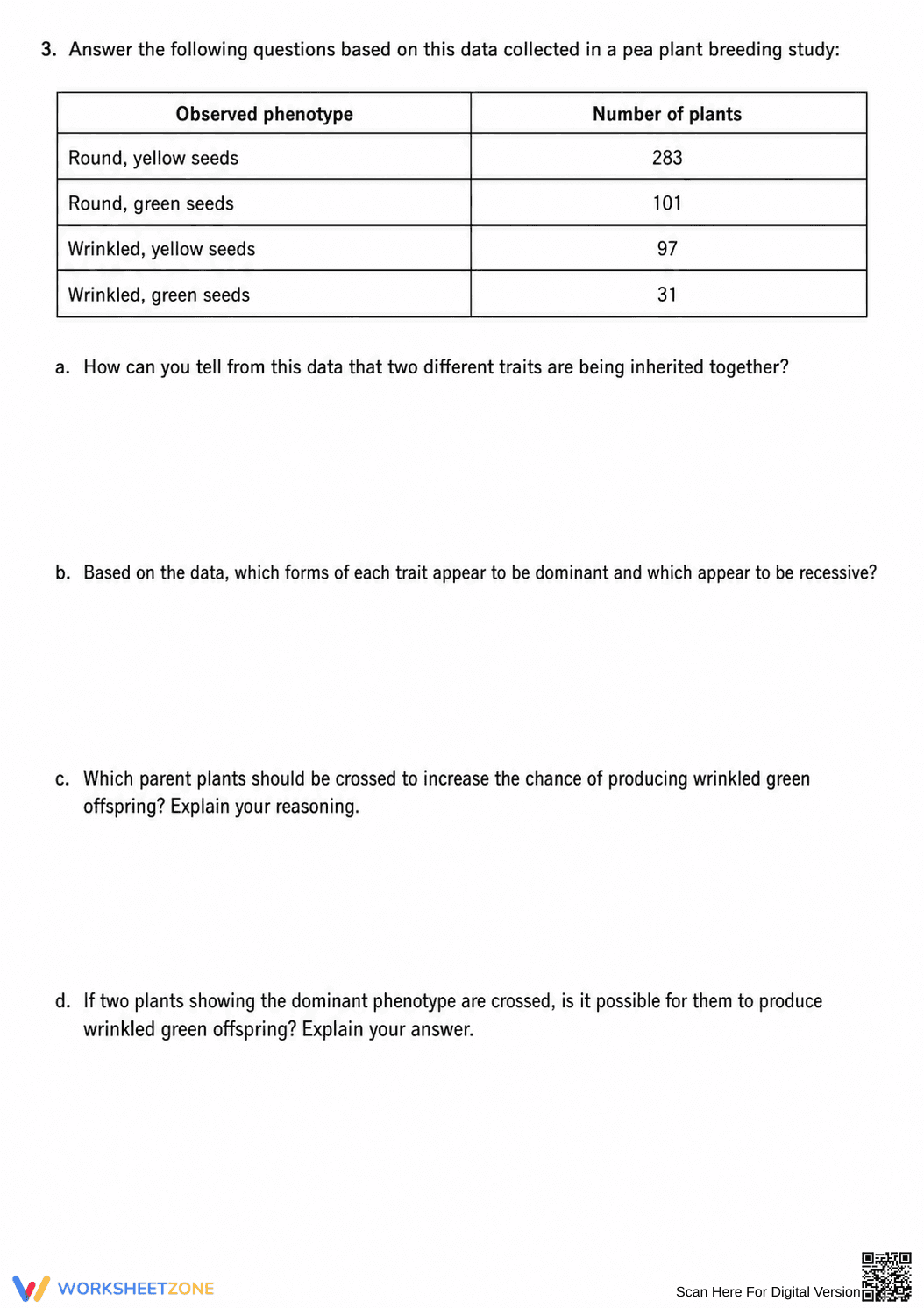 Essential Dihybrid Cross Worksheet | Grades 9-12 Biology - Page 3