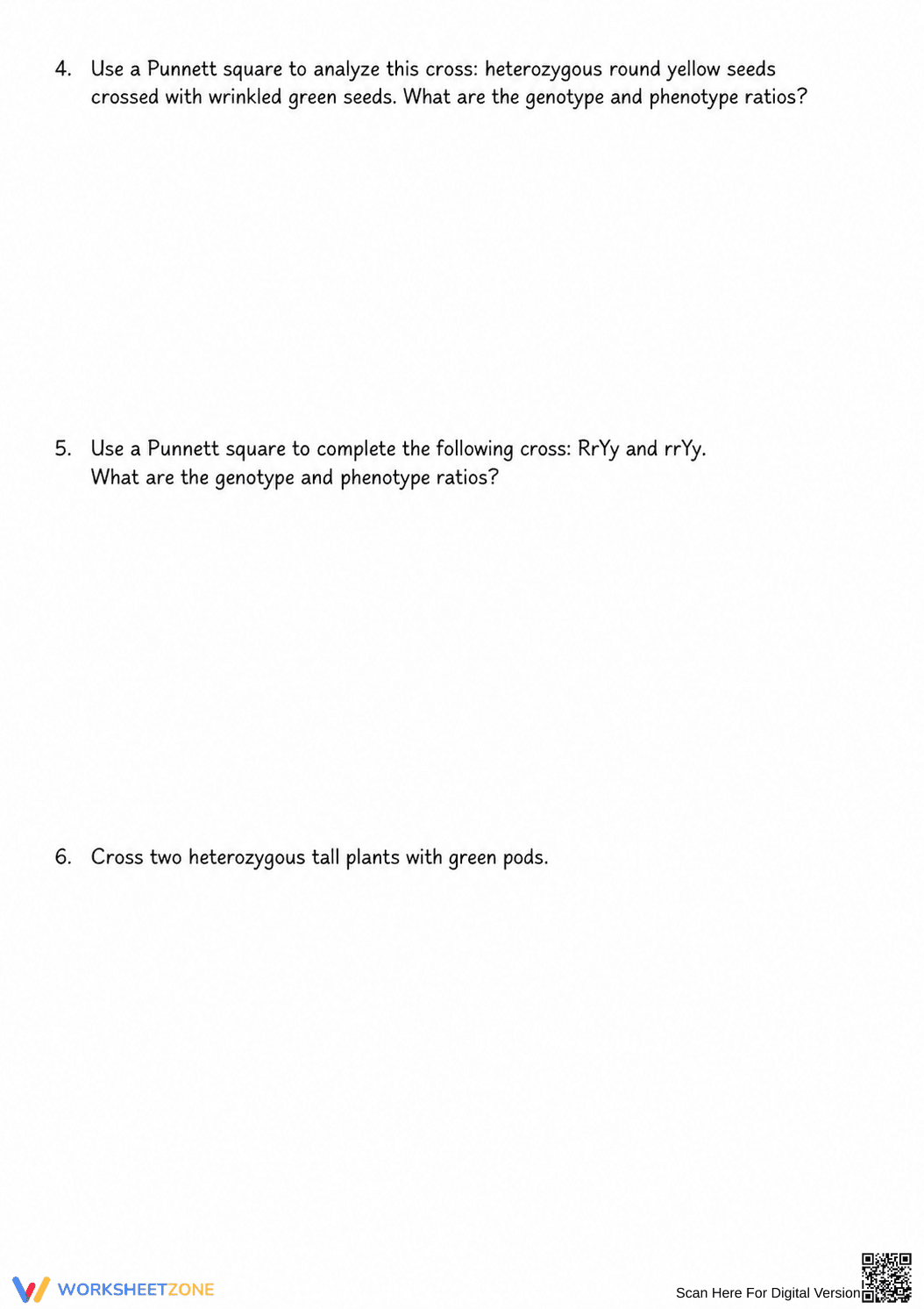 Essential Dihybrid Cross Practice | Grade 9-12 Biology - Page 2
