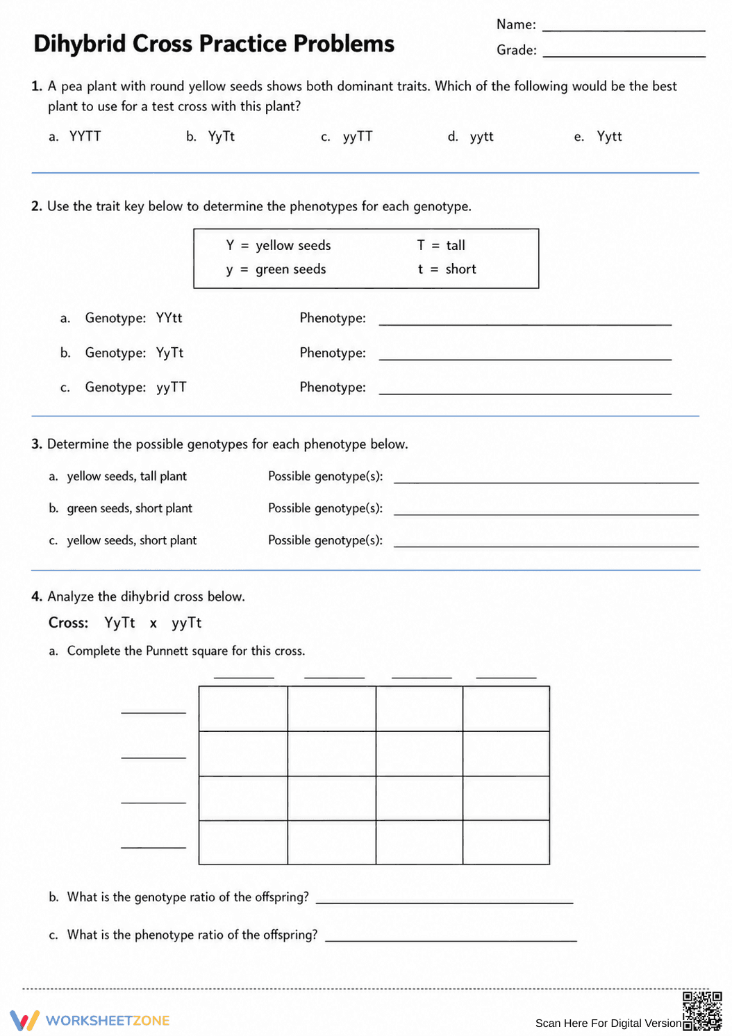 Essential Dihybrid Cross Practice | Grade 9-12 Biology - Page 3